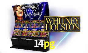 Casino Ao Vivo 14pg